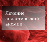 article img